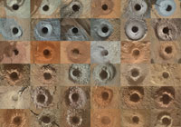 PIA26403: Curiosity's 42 drill holes